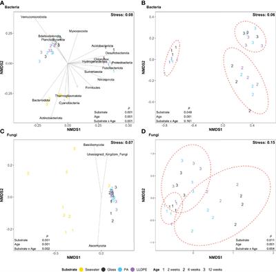 Into the Plastisphere, Where Only the Generalists Thrive: Early Insights in Plastisphere Microbial Community Succession